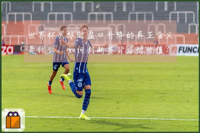 世界杯买球时盘口升降的真正含义是什么，如何判断其背后的价值？