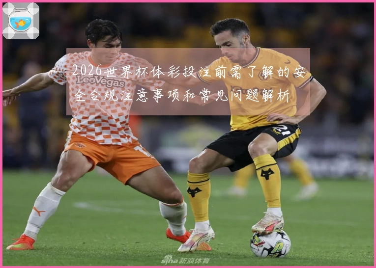 2026世界杯体彩投注前需了解的安全合规注意事项和常见问题解析