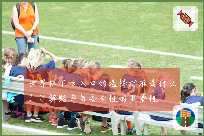 世界杯下注入口的选择标准是什么？了解赔率与安全性的重要性